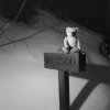 Quand la neige monte haut