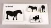 jument, poney, poulains