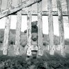 Sur la Terre il existe des Hommes
