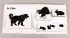 chien, lapin, chat