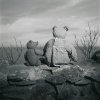 L'Ours vit en famille
