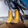 les bottes au vent