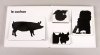 cochon, goret, truie
