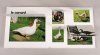le canard